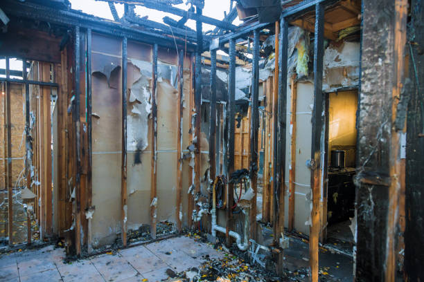Professional Fire Damage Repair technician working in Fennville, MI